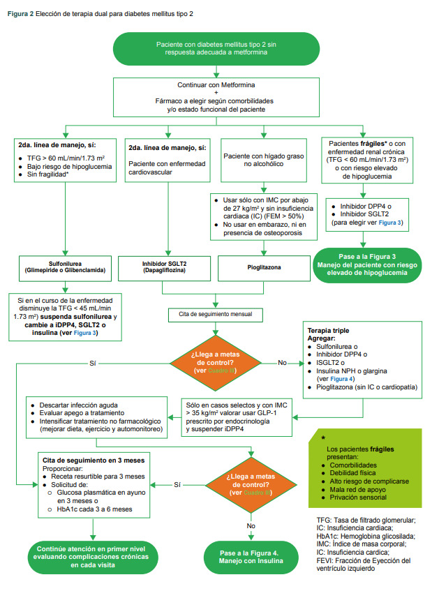 Figura 2 Elección de terapia dual para Diabetes Mellitus tipo 2.