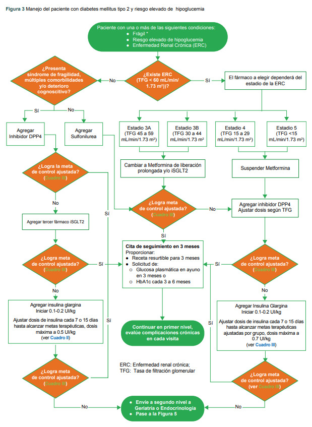 Figura 3 Manejo del paciente con Diabetes Mellitus tipo 2 y riesgo elevado de hipoglucemia.