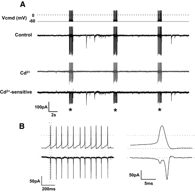 FIG. 8.