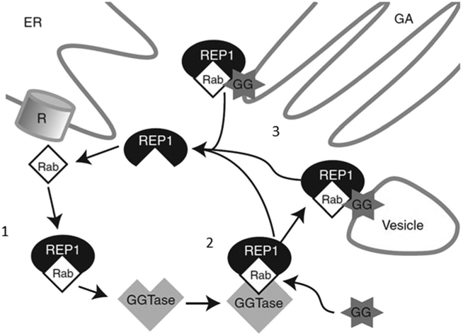 Fig. 2