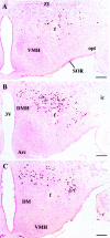 Fig. 3.