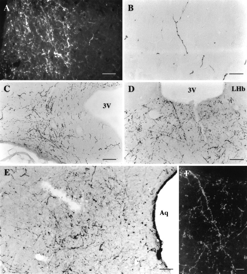 Fig. 13.