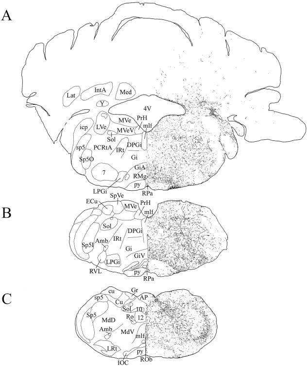 Fig. 12.