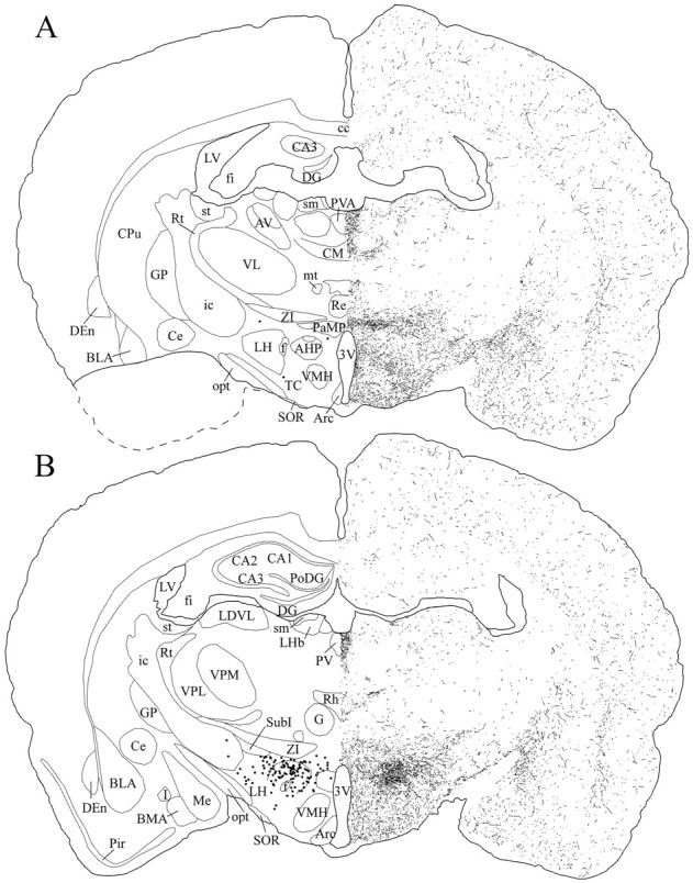 Fig. 8.