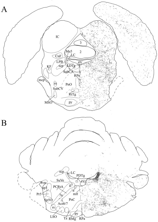 Fig. 11.