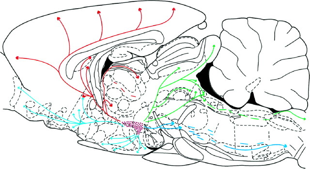 Fig. 14.