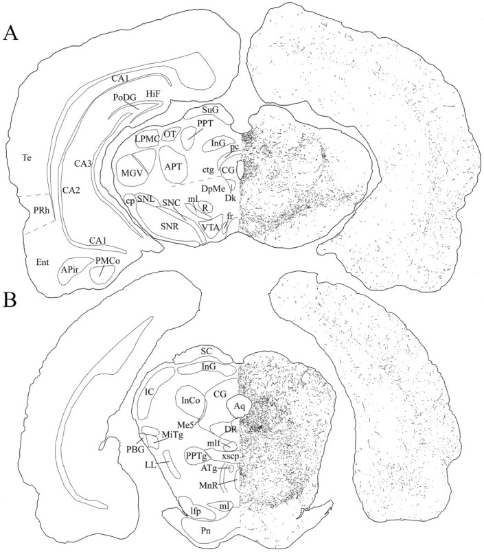 Fig. 10.