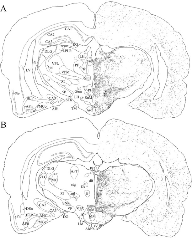 Fig. 9.