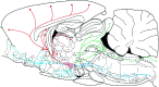 Fig. 14.