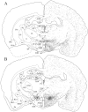 Fig. 8.
