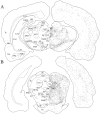 Fig. 10.