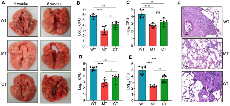 FIG 3