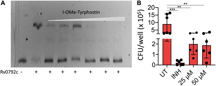 FIG 9