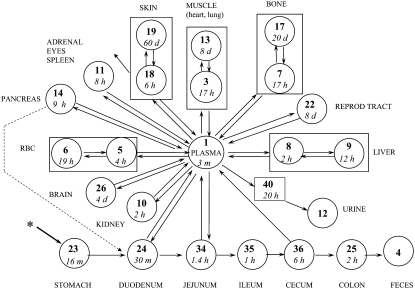 FIGURE 1 