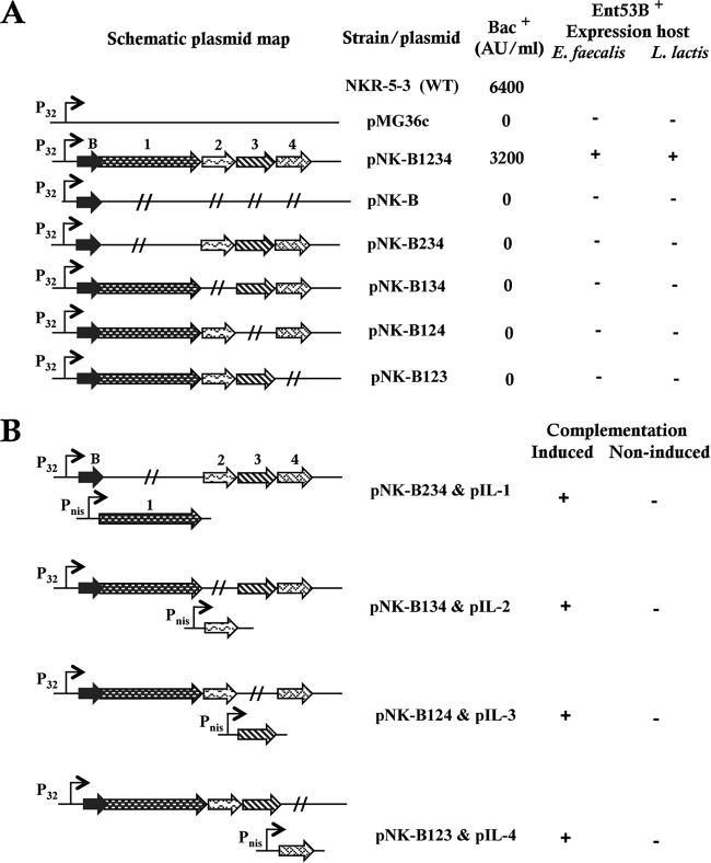 FIG 3