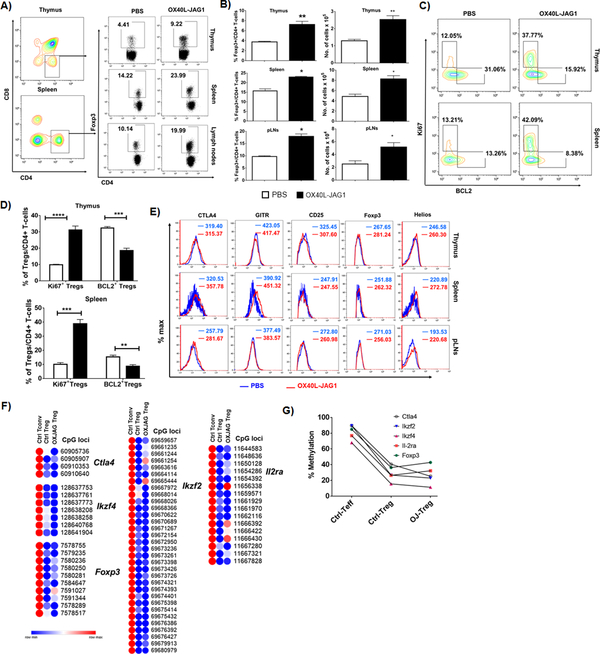 Figure-3: