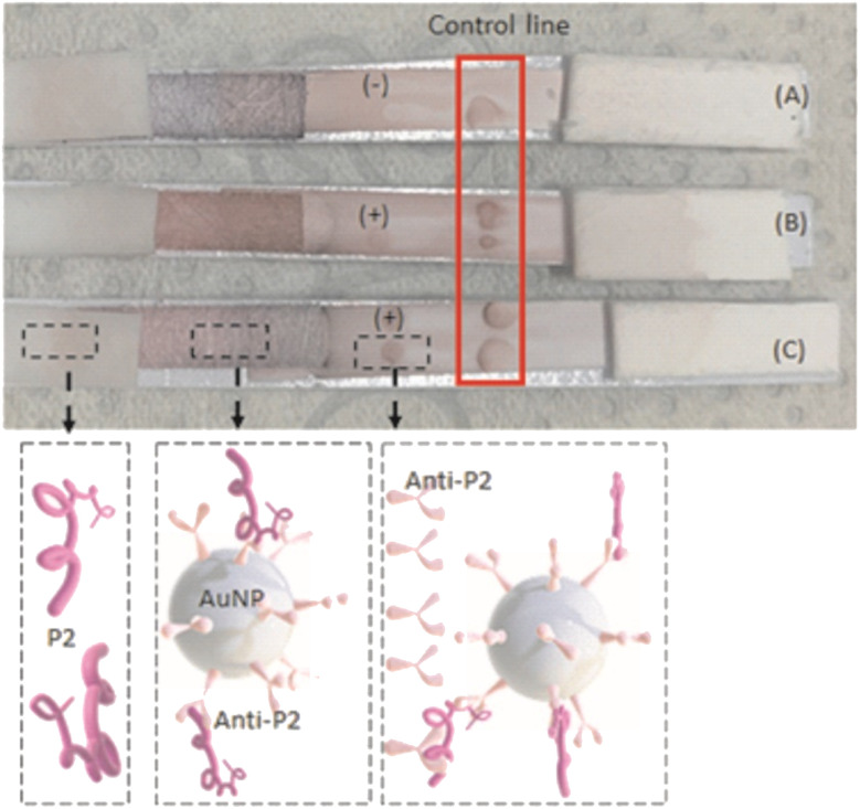 Fig. 10