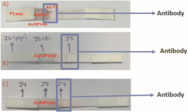 Fig. 11