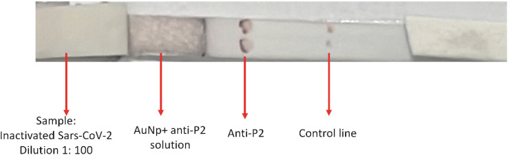 Fig. 12