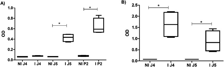 Fig. 7