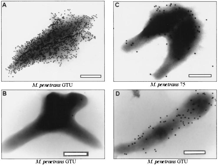 FIG. 6