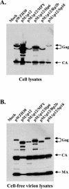 FIG. 2.