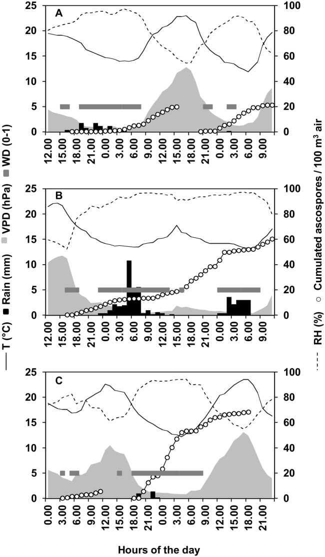 Fig 4