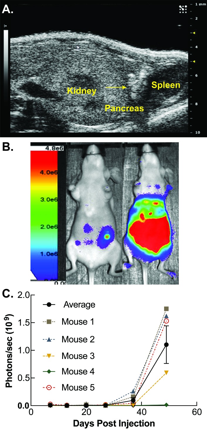 Figure 2.