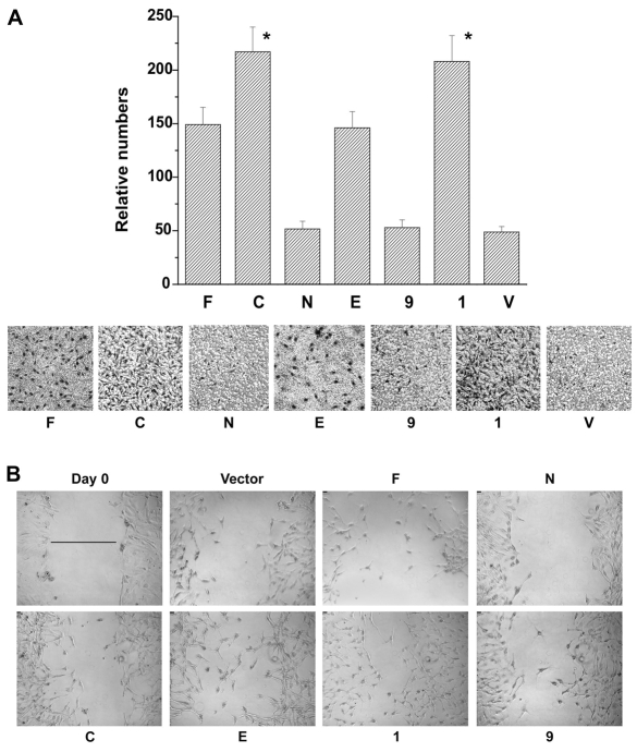 Fig. 7.