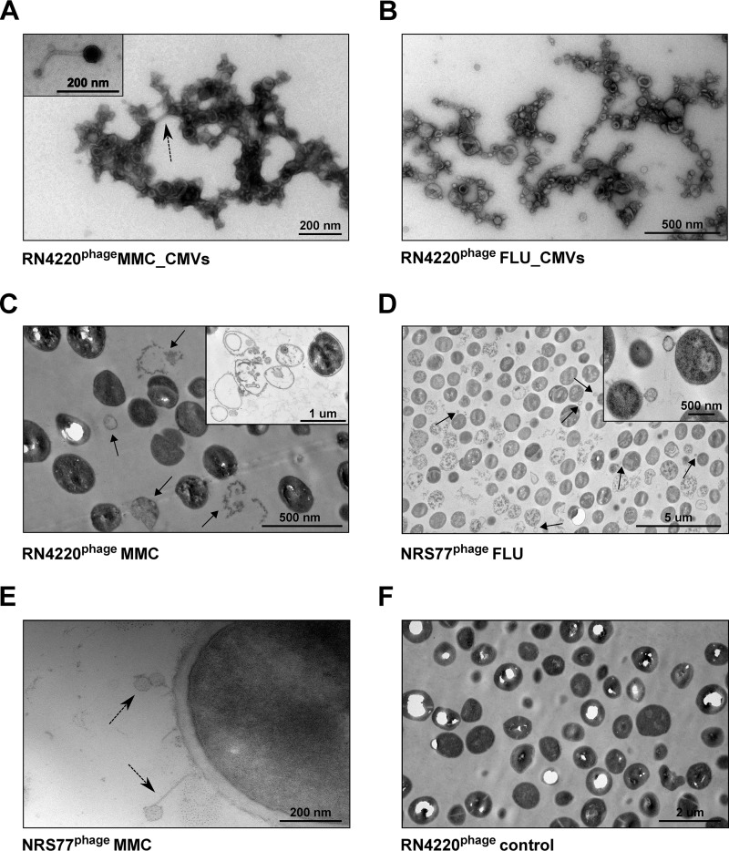 FIG 2