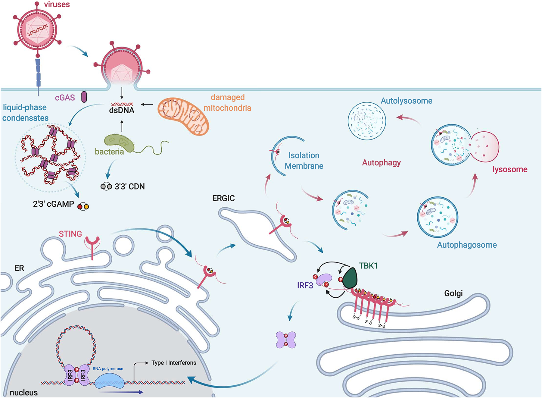 Figure 2: