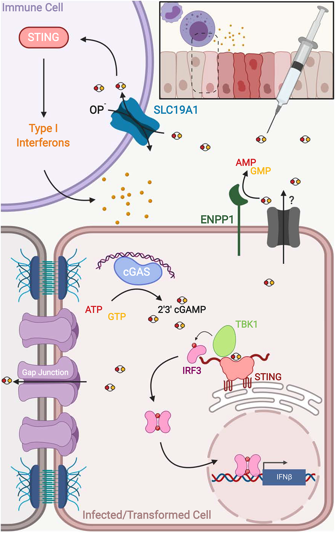 Figure 3: