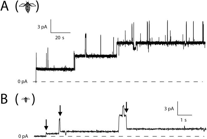 Figure 9. 