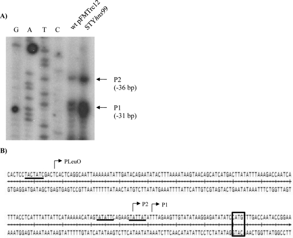 Fig 5