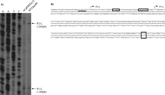 Fig 7