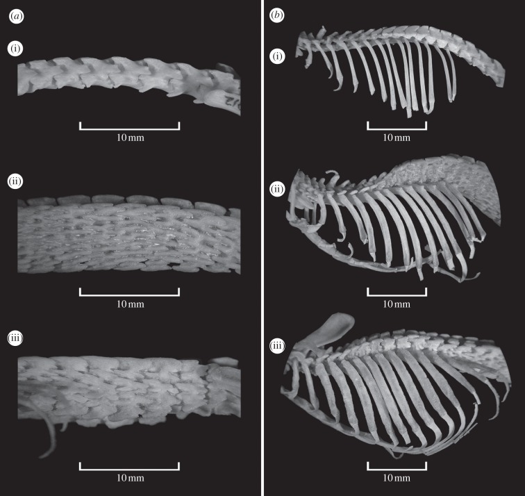 Figure 2.