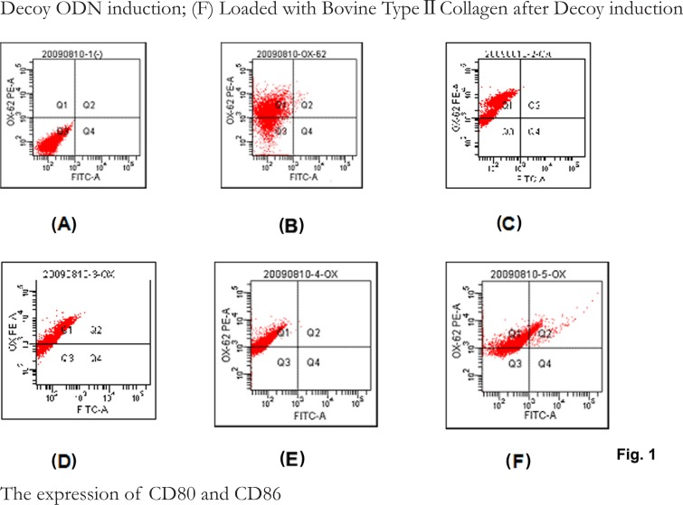 Fig.1