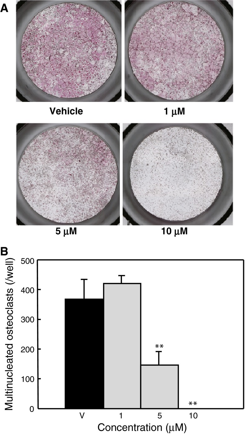 Fig. 4