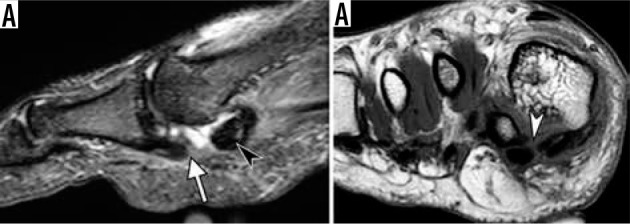 Figure 24