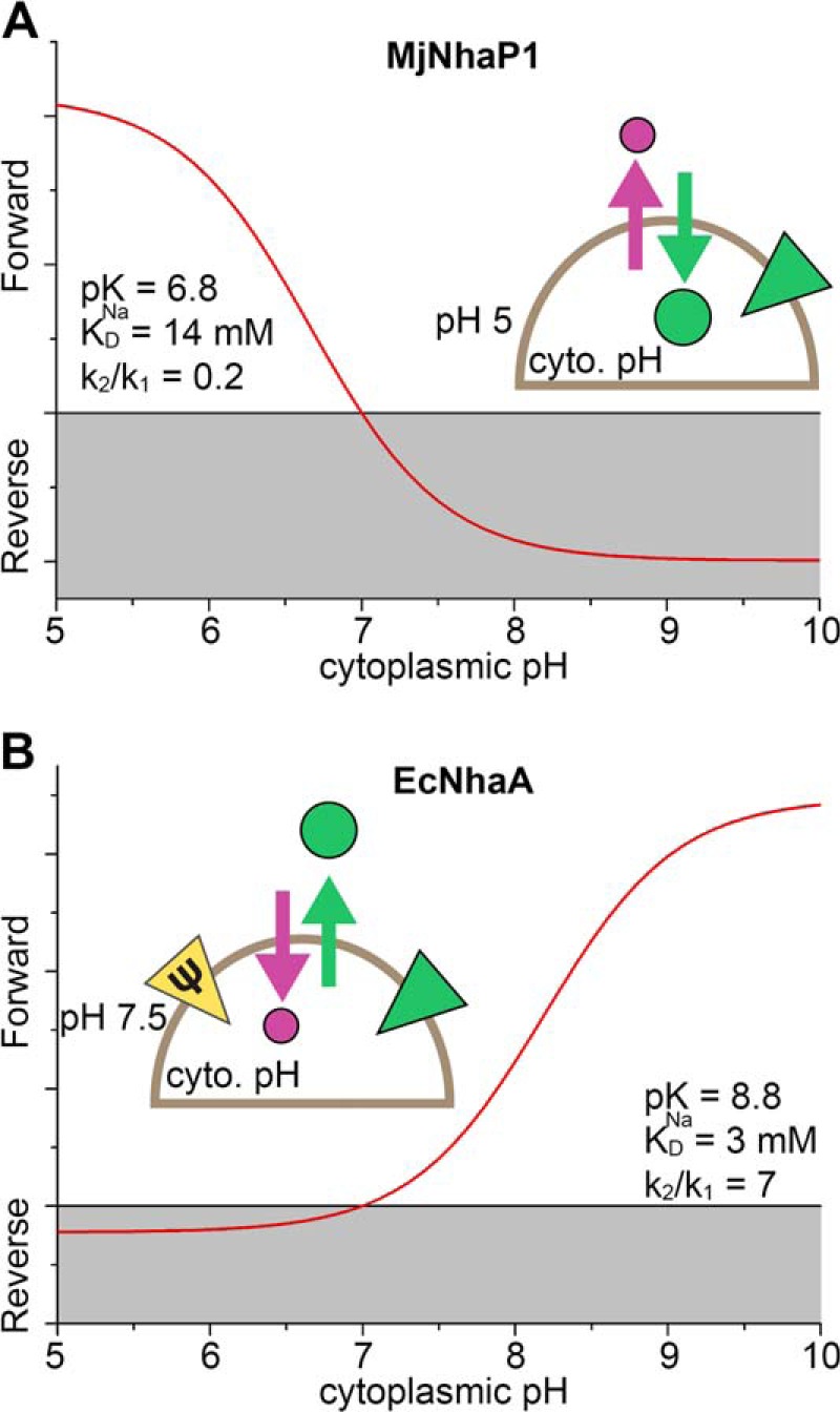 FIGURE 6.