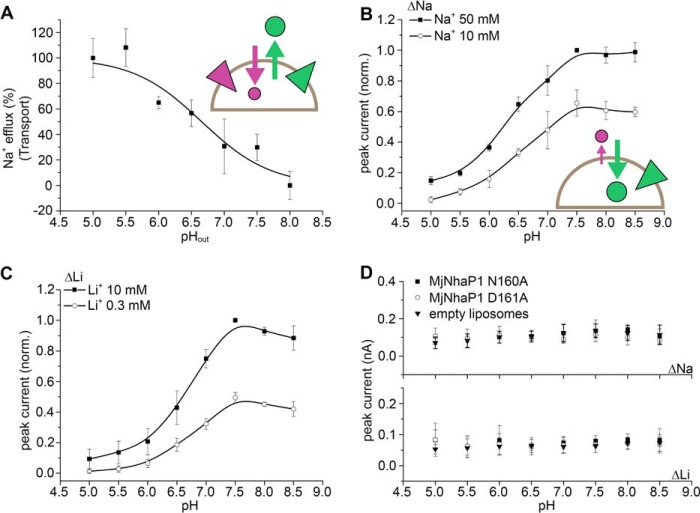 FIGURE 3.