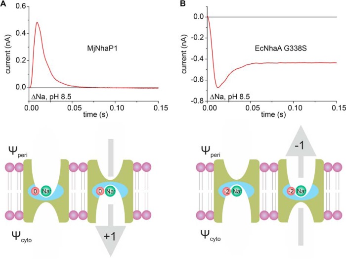 FIGURE 5.