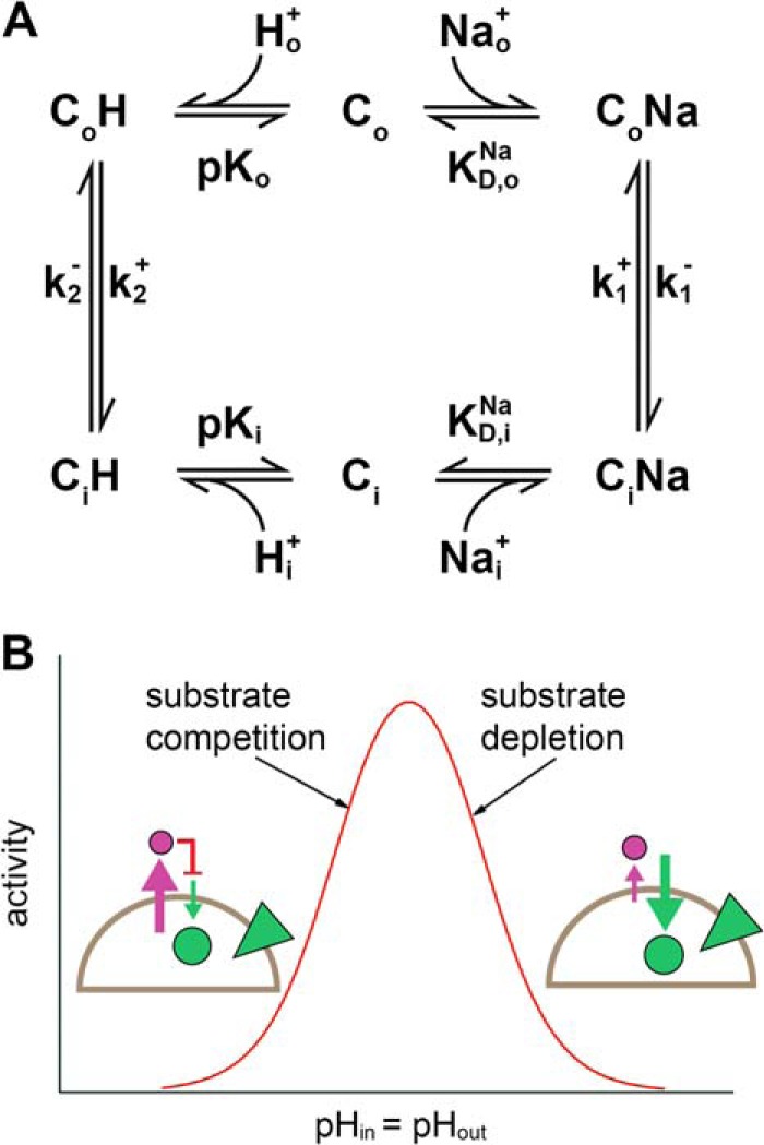 FIGURE 1.