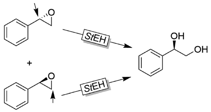 Scheme 33