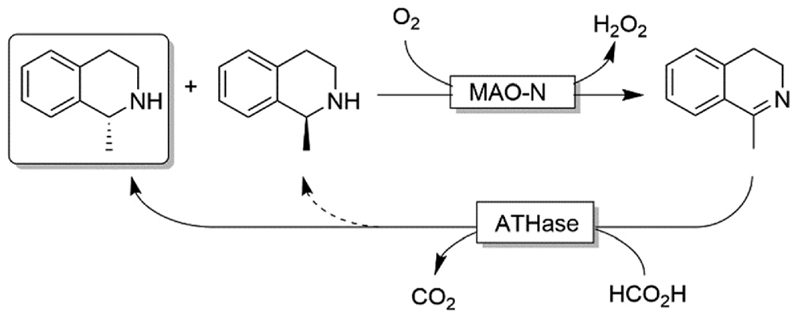 Scheme 22