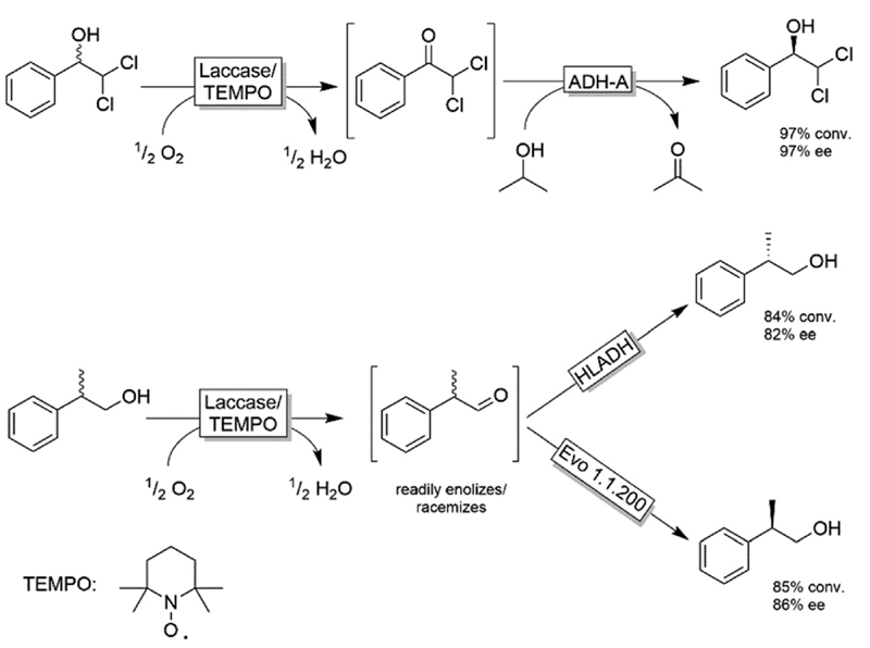 Scheme 16