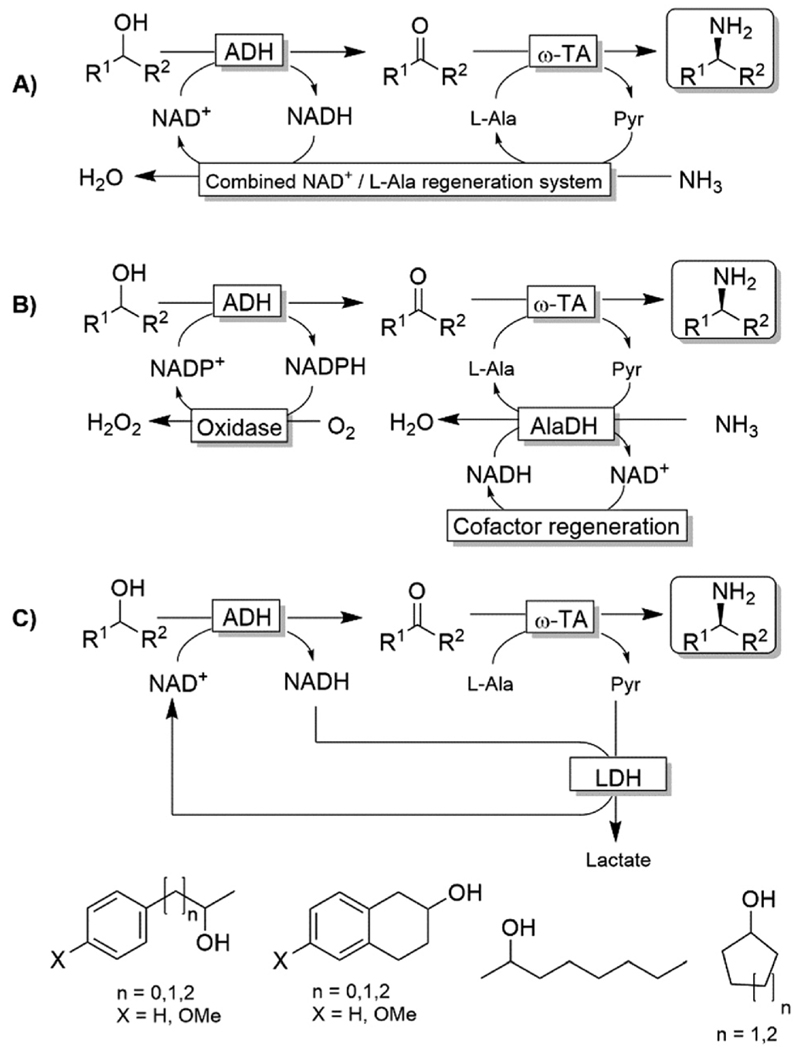 Scheme 23