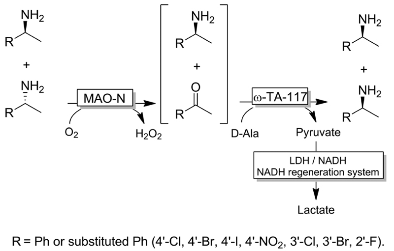 Scheme 20