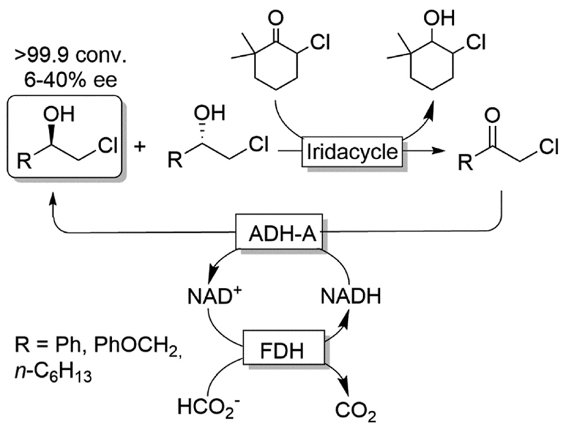 Scheme 7