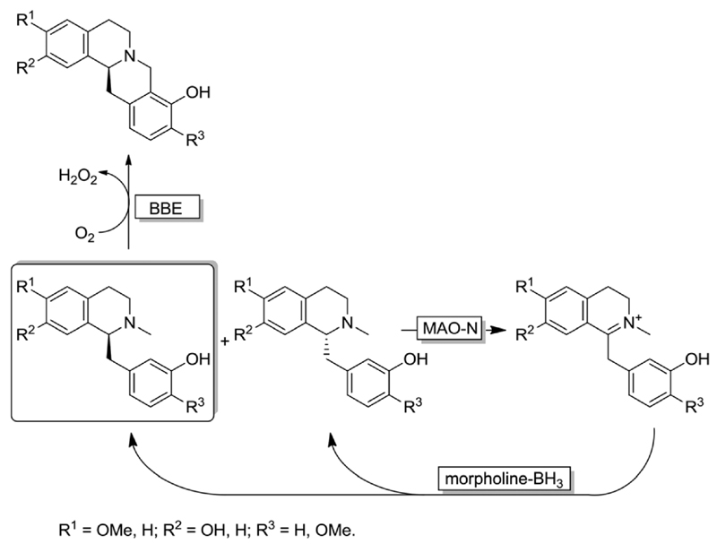 Scheme 10